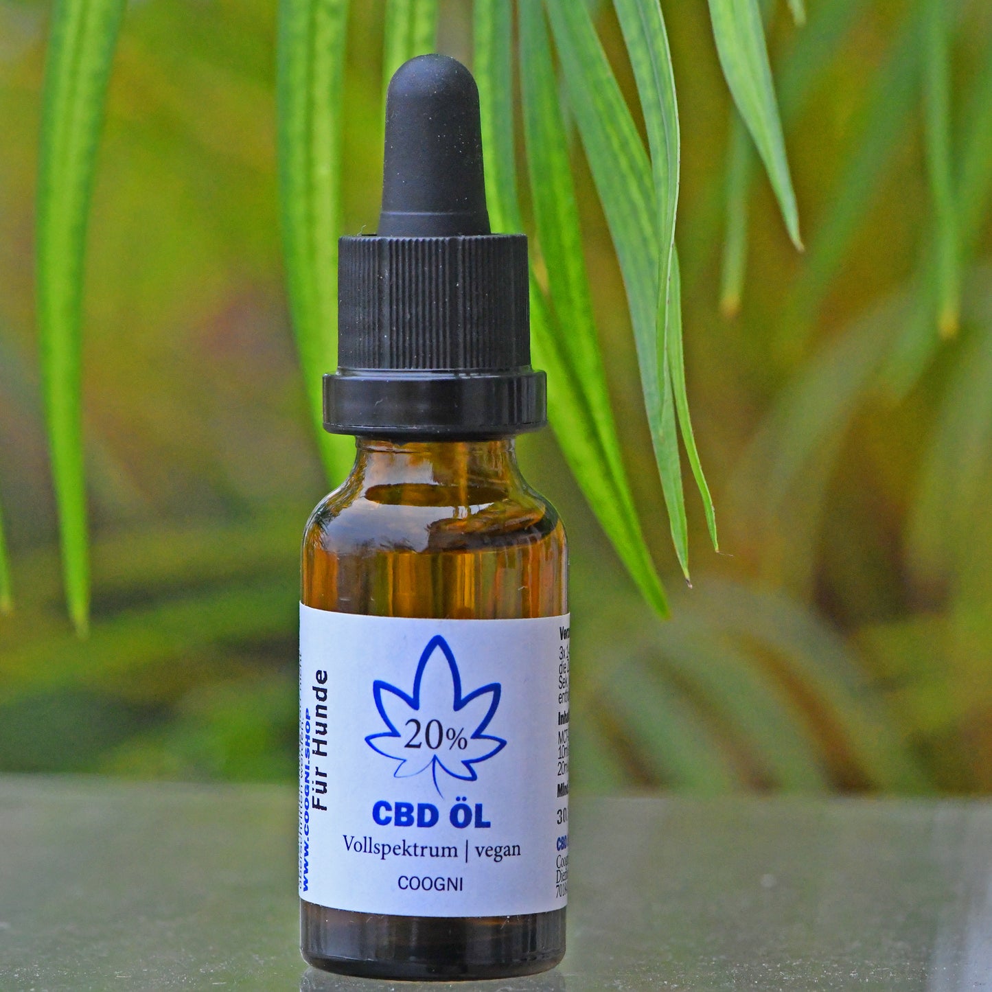 CBD Öl für Hunde hochdosiert