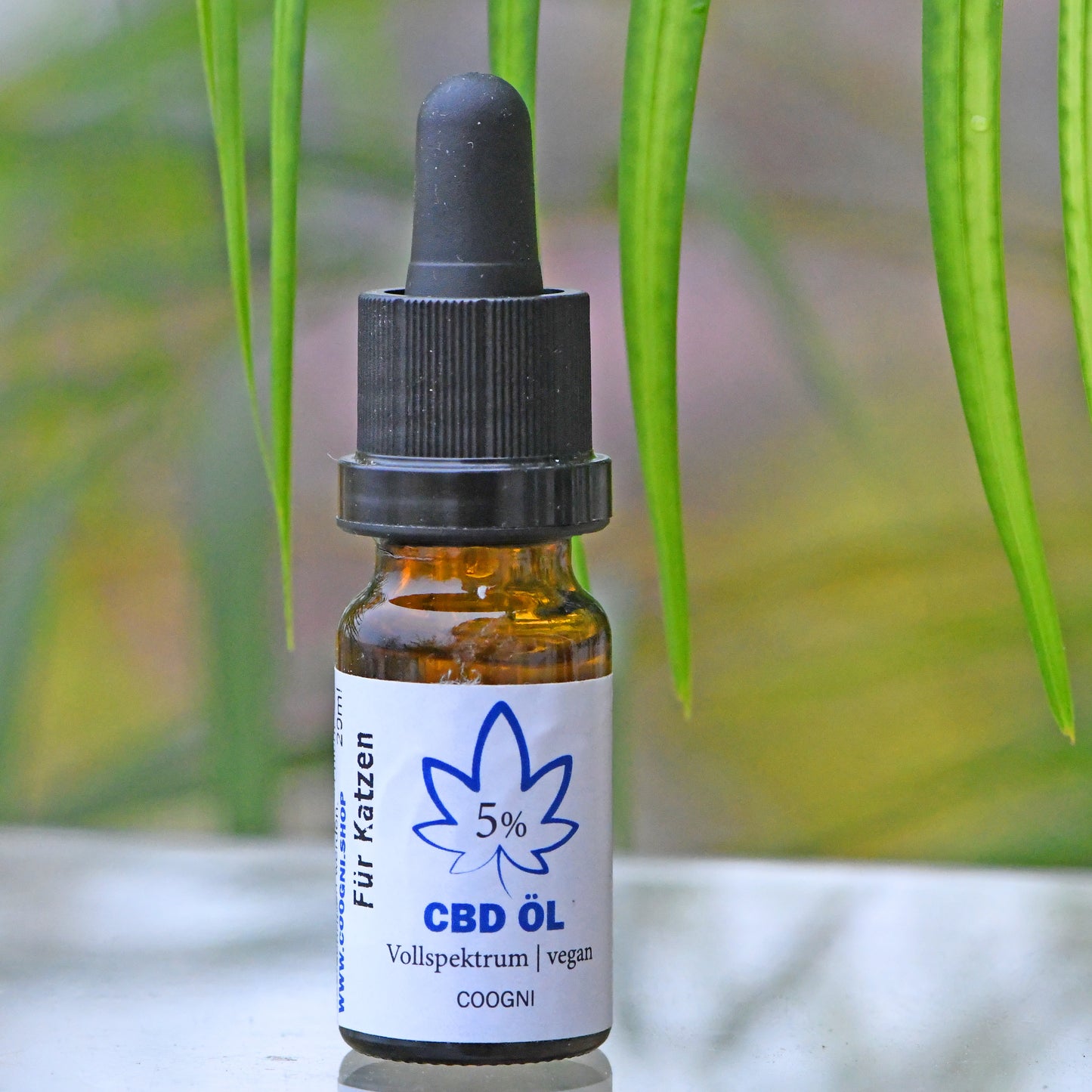 CBD-Öl für Katzen