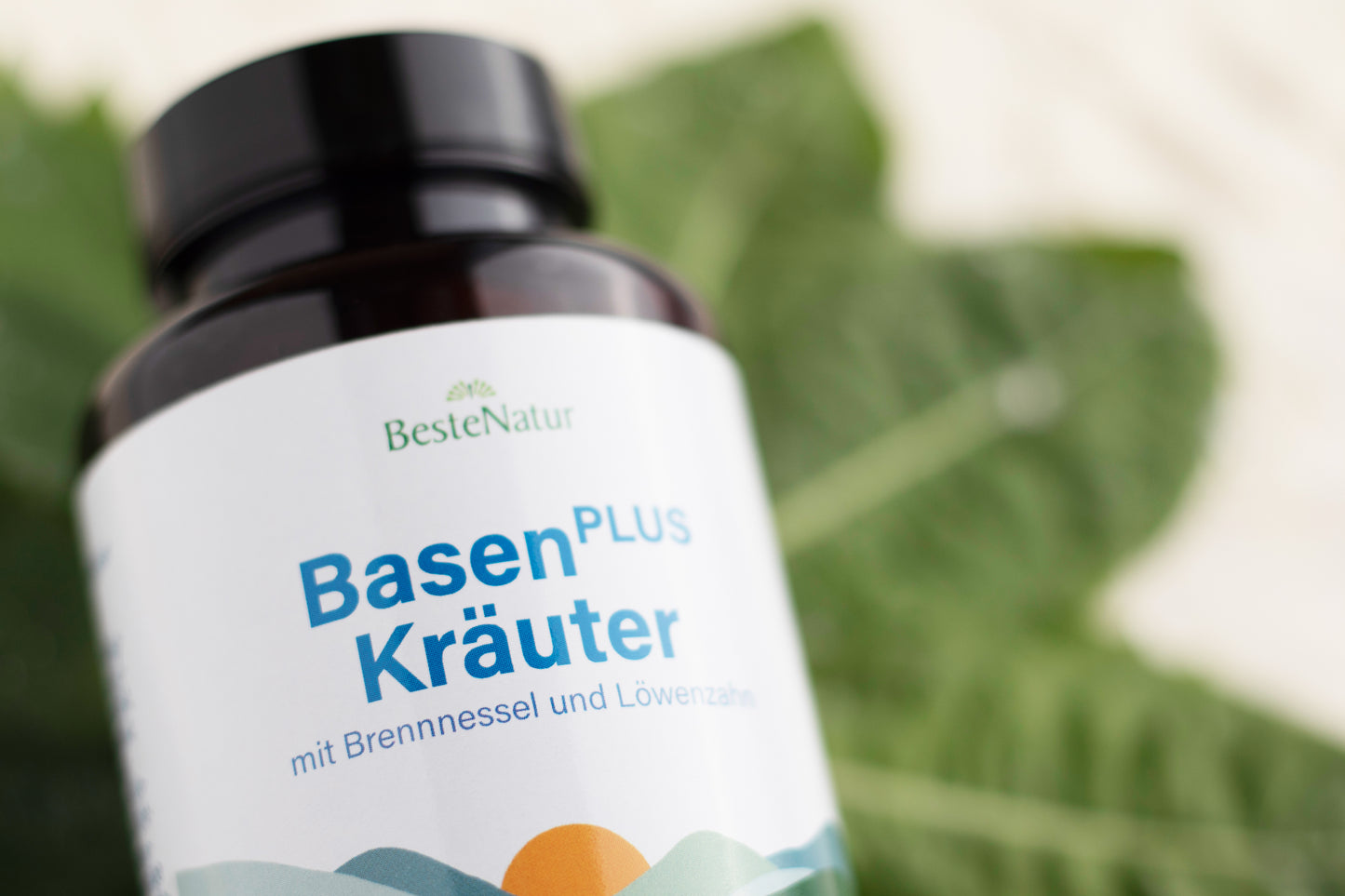 Basen plus Kräuter, Basen Kapseln mit Brennessel und Löwenzahn, Kalium, Calcium, Magnesium und Zink, für den Säure-Basen Haushalt, vegan, Nahrungsergänzungsmittel